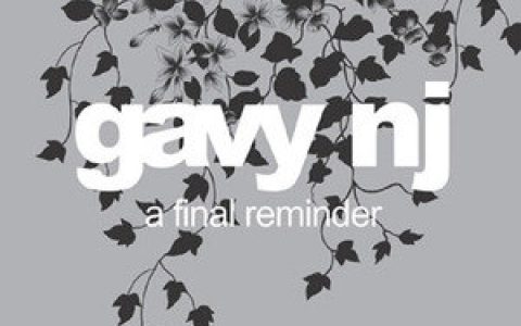 Gavy nj歌曲:Party 2 Night歌词