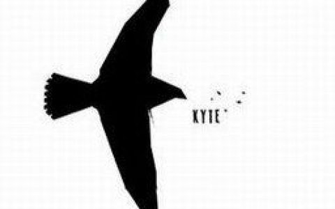 Kyte歌曲:Secular Ventures歌词