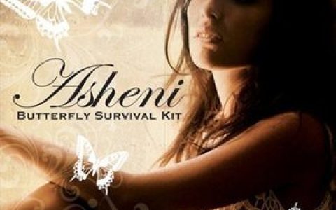 Asheni歌曲:silver tainted truth歌词