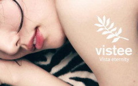Vistee歌曲:Faximillion (Interlude)歌词