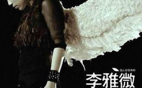 李雅微歌曲:我们的纪念歌词