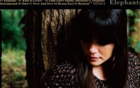 Rachael Yamagata歌曲:Accident歌词