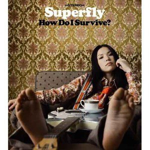 Superfly歌曲:My Brother Jake歌词
