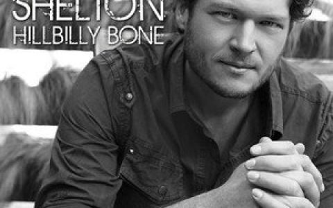 Blake Shelton歌曲:Can t Afford To Love You歌词