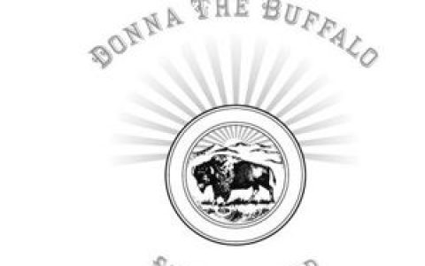 Donna The Buffalo歌曲:Forty Days And Forty Nights歌词