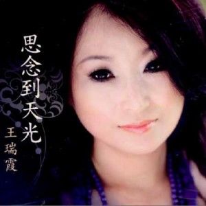 王瑞霞歌曲:若没爱你要爱谁歌词