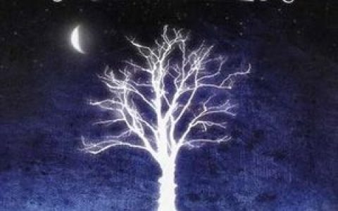 OneRepublic歌曲:Come Home歌词