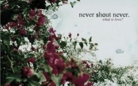 Never Shout Never歌曲:What Is Love?歌词