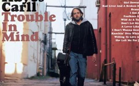 Hayes Carll歌曲:I Got A Gig歌词