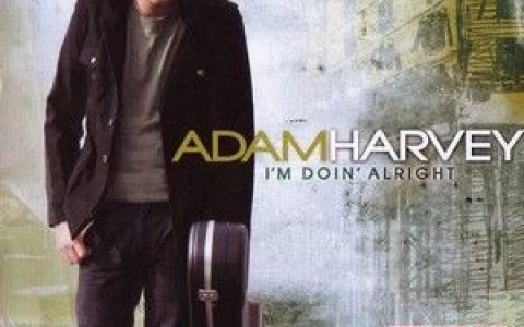 Adam Harvey歌曲:Genie In The Bottle歌词