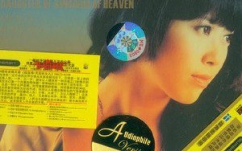 段玫梅歌曲:爱上别人的人歌词