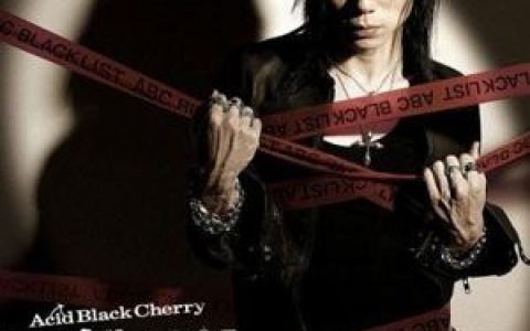 Acid Black Cherry歌曲:少女の祈り歌词