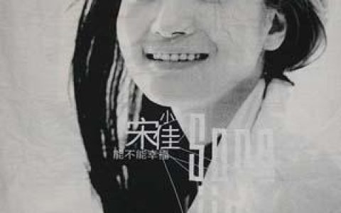小宋佳歌曲:能不能幸福歌词