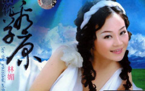 林媚歌曲:父亲歌词