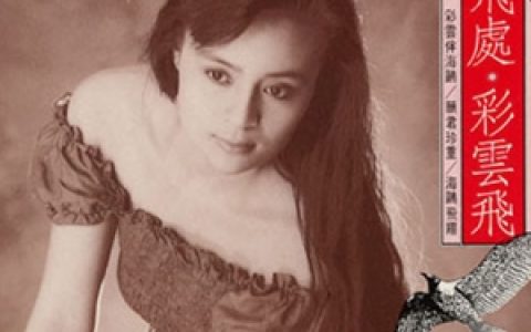 高胜美歌曲:我怎能离开你歌词