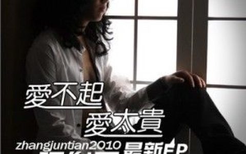 张俊天歌曲:2010爱不起爱太贵歌词