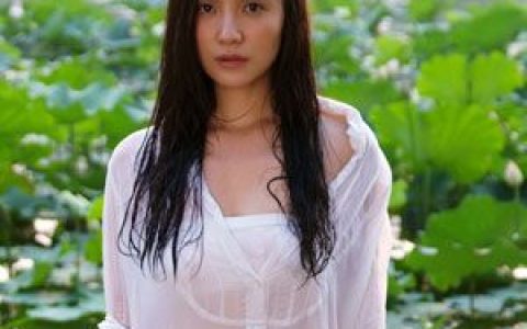 小宋佳歌曲:稻草人歌词