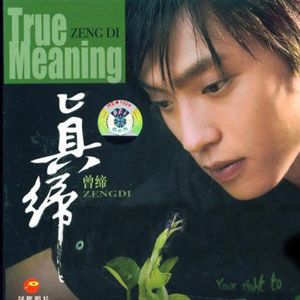 曾缔歌曲:我的爱对你说歌词