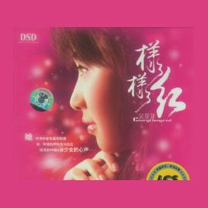 吴菲菲歌曲:红花雨 (诗意版)歌词