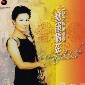 马晓晖歌曲:G弦上的咏叹调歌词