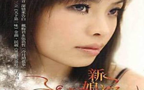 戴梅君歌曲:不倘做黑市歌词