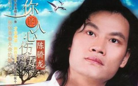 陈骄龙歌曲:爱上你不只是我的错误歌词