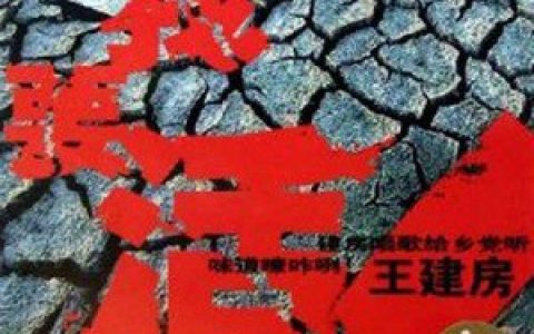 王建房歌曲:大老碗歌词