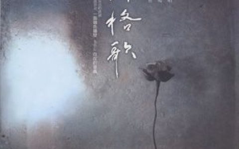 阿格歌曲:幽篁里歌词