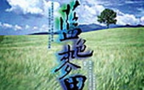 馨予歌曲:雪候鸟歌词