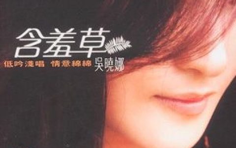 吴晓娜歌曲:伤心是一种说不出的痛歌词