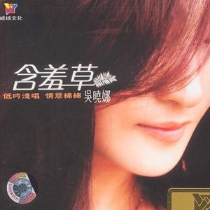 吴晓娜歌曲:伤心是一种说不出的痛歌词