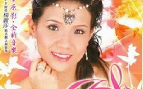 杨丽莎歌曲:痴情恨歌词