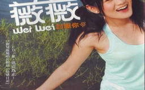薇薇歌曲:情感日记歌词