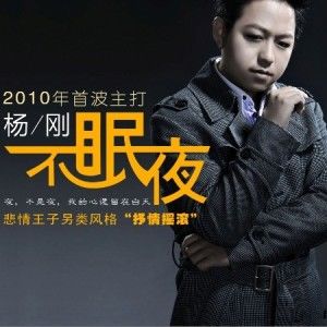 杨刚歌曲:不眠夜歌词