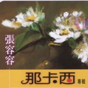张蓉蓉歌曲:情泪滴湿阮的心歌词