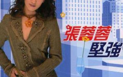 张蓉蓉歌曲:坚强歌词