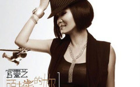 官灵芝歌曲:秋叶歌词