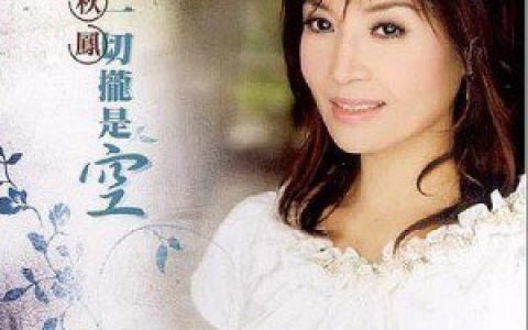 蔡秋凤歌曲:渡冷月歌词