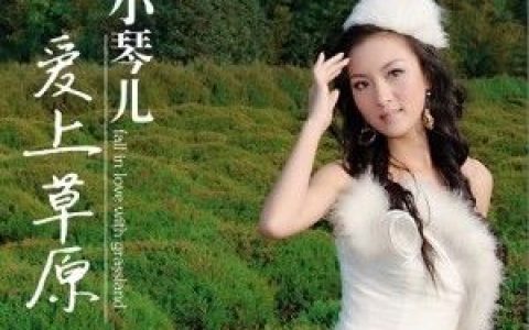 小琴儿歌曲:爱上草原歌词