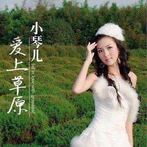 小琴儿歌曲:爱上草原歌词