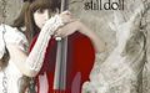 好听的纯音乐歌曲:大提琴 - 友谊地久天长歌词