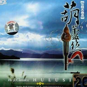 好听的纯音乐歌曲:恰似你的温柔歌词