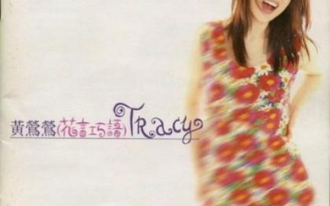 杨春辉歌曲:不要你的花言巧语歌词