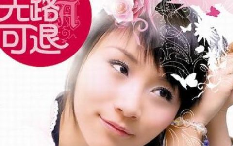 龙川歌曲:爱你爱到无路可退歌词