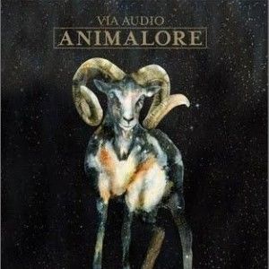 Via Audio歌曲:Tigers歌词