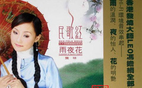 龚玥歌曲:雨夜花闽南语歌词