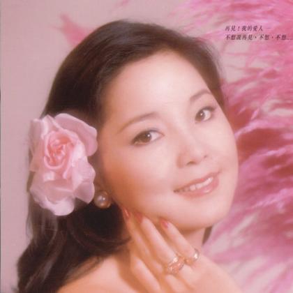戴妮歌曲:泪的小雨/丝丝小雨/今夜想起你/使爱情更美丽/我瞭解你/再见我的爱人歌词