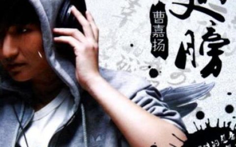 蓝又时歌曲:为你擦泪 (演奏版)歌词