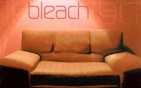 サンボマスター歌曲:君を守って 君を愛して (BLEACHヴァージョン)歌词