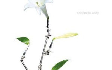 delofamilia歌曲:see you歌词